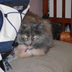 Meet your Posher, Suzanne